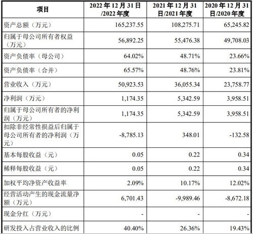 中科飛測(cè)啟動(dòng)申購(gòu) 國(guó)產(chǎn)集成電路檢測(cè)設(shè)備邁入28nm時(shí)代